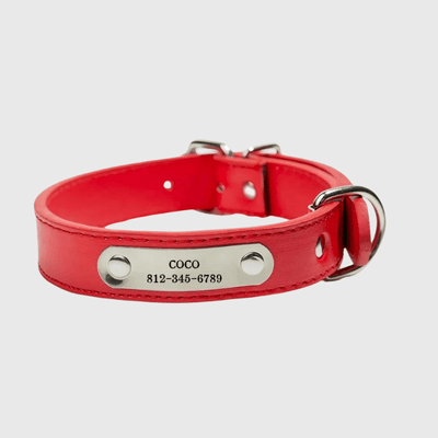 https://cdn.shopify.com/s/files/1/0763/9767/4819/files/Collier_chien_personnalise_prenom_rouge.png?v=1745316248