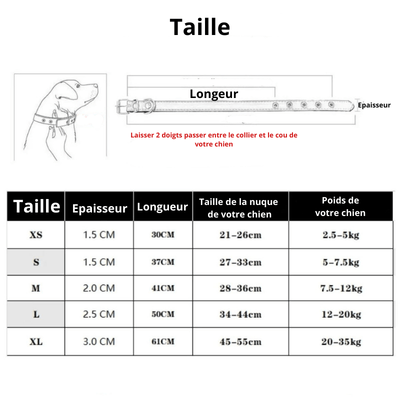 https://cdn.shopify.com/s/files/1/0763/9767/4819/files/Collier_chien_personnalise_prenom_taille.png?v=1745316248