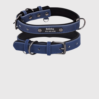 https://cdn.shopify.com/s/files/1/0763/9767/4819/files/Collier_chien_plaque_bleu_fonce.png?v=1745313743