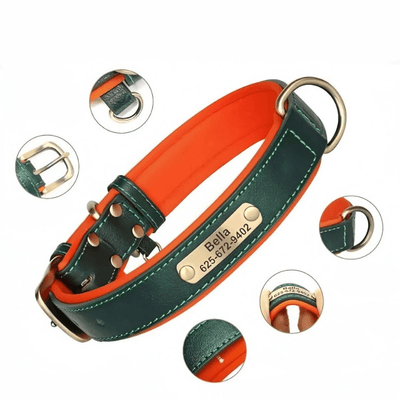 https://cdn.shopify.com/s/files/1/0763/9767/4819/files/Collier_chien_plaque_details.png?v=1745313743