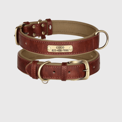 https://cdn.shopify.com/s/files/1/0763/9767/4819/files/Collier_chien_plaque_marron.png?v=1745313743