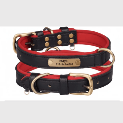 https://cdn.shopify.com/s/files/1/0763/9767/4819/files/Collier_chien_plaque_noir.png?v=1745313743