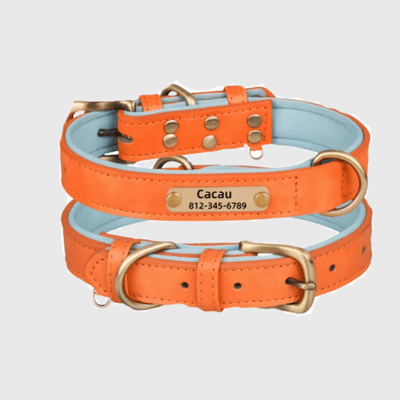 https://cdn.shopify.com/s/files/1/0763/9767/4819/files/Collier_chien_plaque_orange.png?v=1745313743