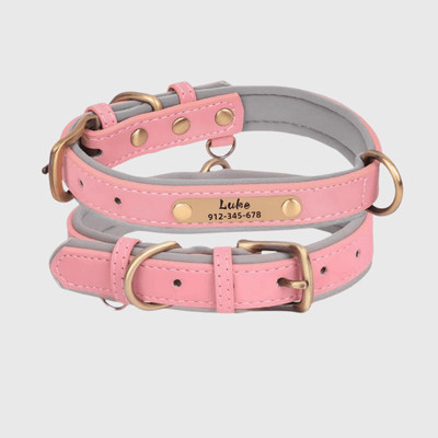 https://cdn.shopify.com/s/files/1/0763/9767/4819/files/Collier_chien_plaque_rose.png?v=1745313743