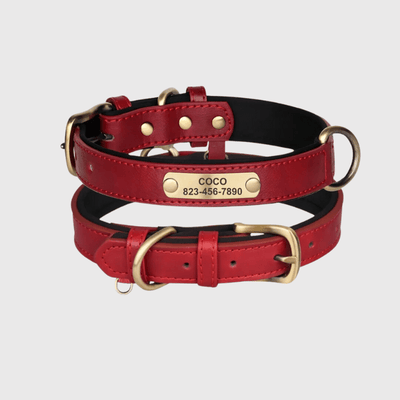 https://cdn.shopify.com/s/files/1/0763/9767/4819/files/Collier_chien_plaque_rouge.png?v=1745313743