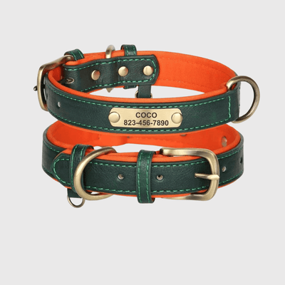 https://cdn.shopify.com/s/files/1/0763/9767/4819/files/Collier_chien_plaque_vert.png?v=1745313743