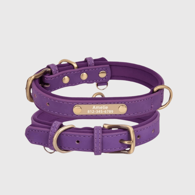 https://cdn.shopify.com/s/files/1/0763/9767/4819/files/Collier_chien_plaque_violet.png?v=1745313743