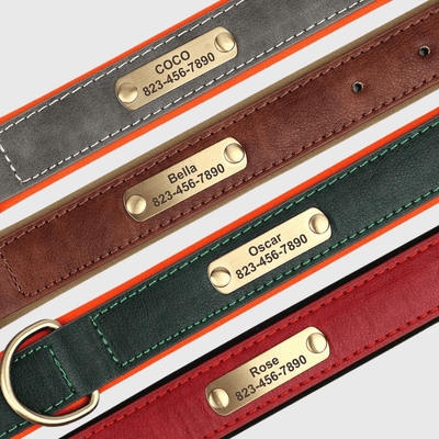 https://cdn.shopify.com/s/files/1/0763/9767/4819/files/Collier_chien_plaque_zoom.png?v=1745313743
