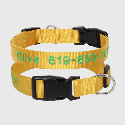 https://cdn.shopify.com/s/files/1/0763/9767/4819/files/Collier_cousu_personnalisable_pour_chien_jaune.png?v=1748610042