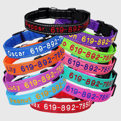 https://cdn.shopify.com/s/files/1/0763/9767/4819/files/Collier_cousu_personnalisable_pour_chien_modele.png?v=1748610042