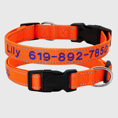 https://cdn.shopify.com/s/files/1/0763/9767/4819/files/Collier_cousu_personnalisable_pour_chien_orange.png?v=1748610042
