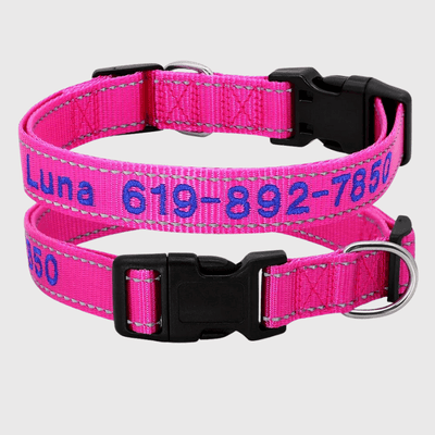 https://cdn.shopify.com/s/files/1/0763/9767/4819/files/Collier_cousu_personnalisable_pour_chien_rose_fluo.png?v=1748610042