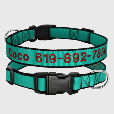 https://cdn.shopify.com/s/files/1/0763/9767/4819/files/Collier_cousu_personnalisable_pour_chien_vert.png?v=1748610042