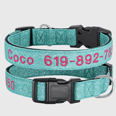 https://cdn.shopify.com/s/files/1/0763/9767/4819/files/Collier_cousu_personnalisable_pour_chien_vert_bleu.png?v=1748610042