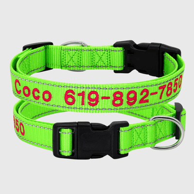 https://cdn.shopify.com/s/files/1/0763/9767/4819/files/Collier_cousu_personnalisable_pour_chien_vert_clair.png?v=1748610042