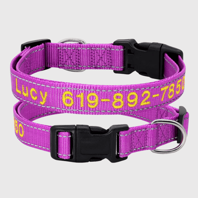 https://cdn.shopify.com/s/files/1/0763/9767/4819/files/Collier_cousu_personnalisable_pour_chien_violet_clair.png?v=1748610042