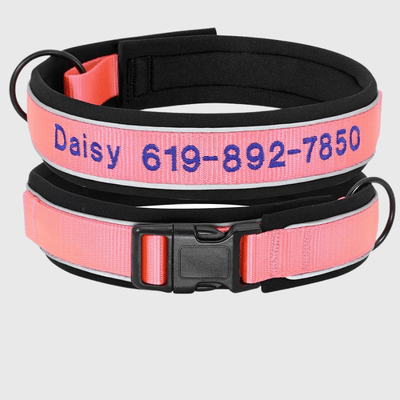 https://cdn.shopify.com/s/files/1/0763/9767/4819/files/Collier_de_Chasse_pour_Chien.png?v=1769014579
