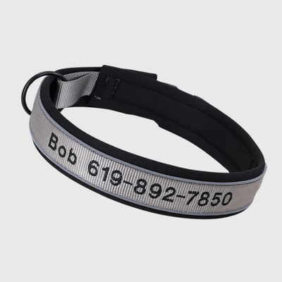 https://cdn.shopify.com/s/files/1/0763/9767/4819/files/Collier_de_Chasse_pour_Chien_gris.png?v=1769014579