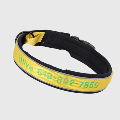 https://cdn.shopify.com/s/files/1/0763/9767/4819/files/Collier_de_Chasse_pour_Chien_jaune.png?v=1769014579