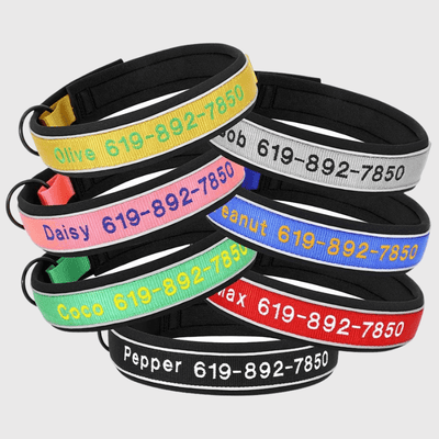 https://cdn.shopify.com/s/files/1/0763/9767/4819/files/Collier_de_Chasse_pour_Chien_modele.png?v=1769014579
