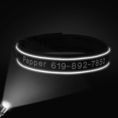 https://cdn.shopify.com/s/files/1/0763/9767/4819/files/Collier_de_Chasse_pour_Chien_reflechissant.png?v=1769014579