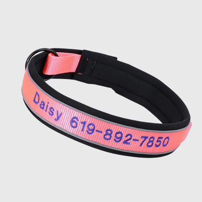 https://cdn.shopify.com/s/files/1/0763/9767/4819/files/Collier_de_Chasse_pour_Chien_rose.png?v=1769014579