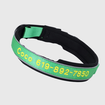 https://cdn.shopify.com/s/files/1/0763/9767/4819/files/Collier_de_Chasse_pour_Chien_vert.png?v=1769014579