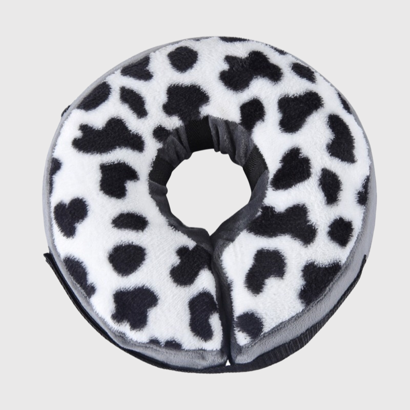 https://cdn.shopify.com/s/files/1/0763/9767/4819/files/Collier_de_convalescence_pour_chien_dalmacien.png?v=1690987048
