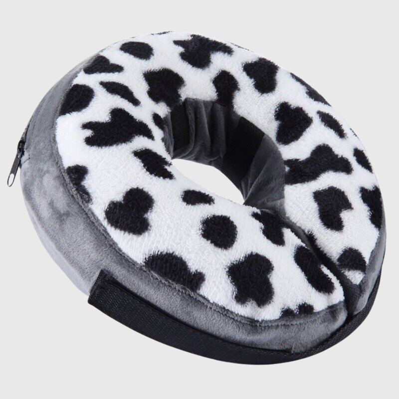 https://cdn.shopify.com/s/files/1/0763/9767/4819/files/Collier_de_convalescence_pour_chien_dalmacien.png?v=1690987048