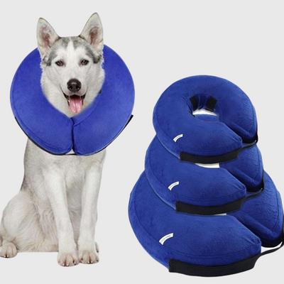 https://cdn.shopify.com/s/files/1/0763/9767/4819/files/Collier_de_protection_gonflable_exemple.png?v=1746202303