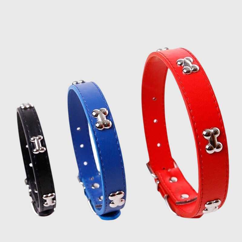 https://cdn.shopify.com/s/files/1/0763/9767/4819/files/Collier_en_cuir_pour_chien_motif_os_3_coliers.png?v=1747916295