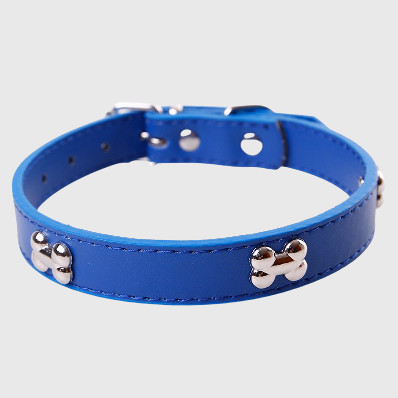 https://cdn.shopify.com/s/files/1/0763/9767/4819/files/Collier_en_cuir_pour_chien_motif_os_sur_chiot_labrador.png?v=1745315612