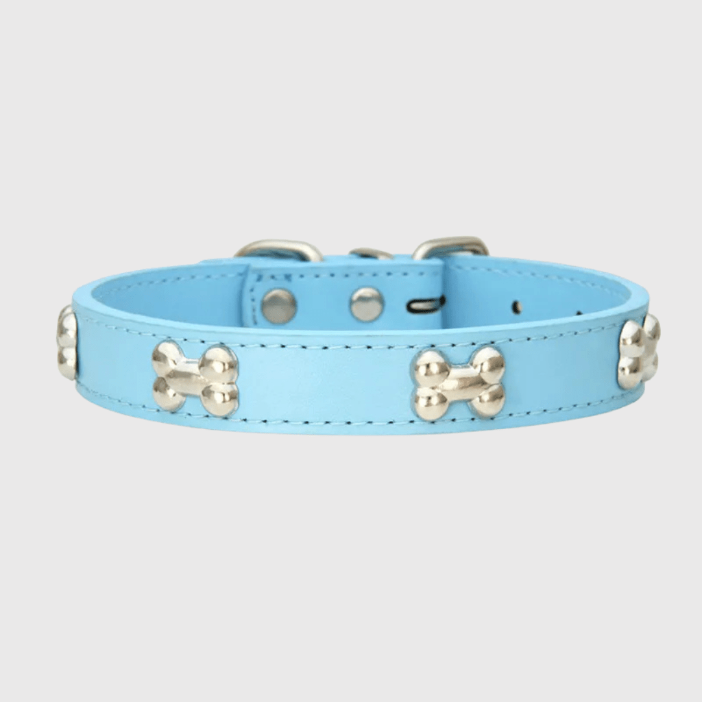 https://cdn.shopify.com/s/files/1/0763/9767/4819/files/Collier_en_cuir_pour_chien_motif_os_bleu_clair.png?v=1747918059