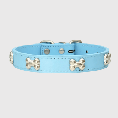 https://cdn.shopify.com/s/files/1/0763/9767/4819/files/Collier_en_cuir_pour_chien_motif_os_bleu_clair.png?v=1747918059