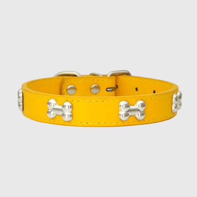 https://cdn.shopify.com/s/files/1/0763/9767/4819/files/Collier_en_cuir_pour_chien_motif_os_jaune.png?v=1747918045