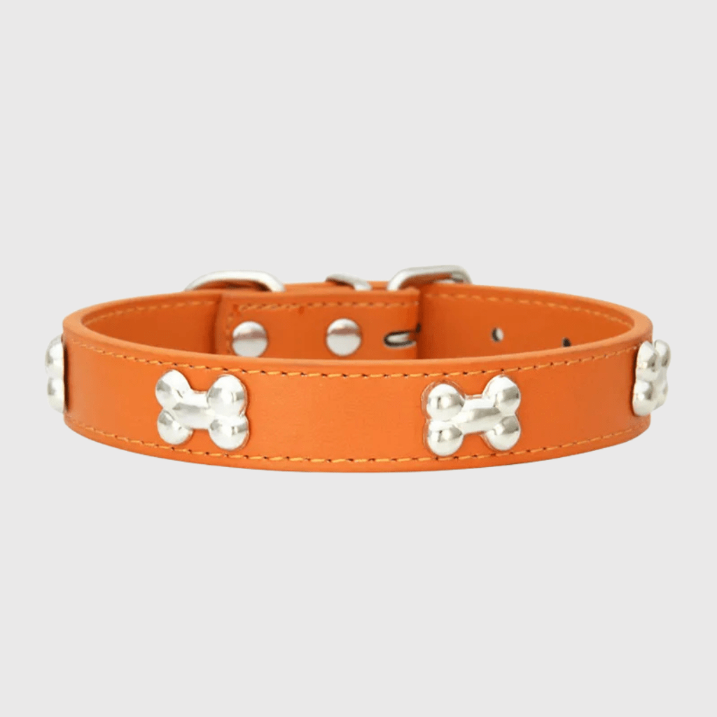 https://cdn.shopify.com/s/files/1/0763/9767/4819/files/Collier_en_cuir_pour_chien_motif_os_orange.png?v=1747917957