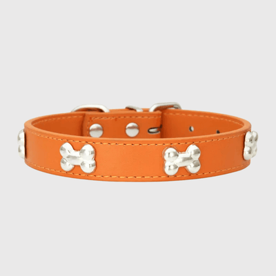 https://cdn.shopify.com/s/files/1/0763/9767/4819/files/Collier_en_cuir_pour_chien_motif_os_orange.png?v=1747917957