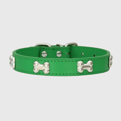 https://cdn.shopify.com/s/files/1/0763/9767/4819/files/Collier_en_cuir_pour_chien_motif_os_vert.png?v=1747918003