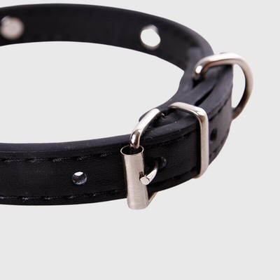 https://cdn.shopify.com/s/files/1/0763/9767/4819/files/Collier_en_cuir_pour_chien_motif_os_zoom.png?v=1747916295