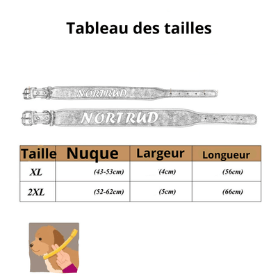https://cdn.shopify.com/s/files/1/0763/9767/4819/files/Collier_en_cuir_pour_chien_personnalise_Taille.png?v=1745314060