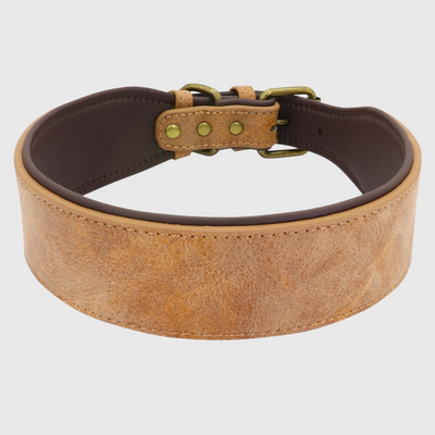 https://cdn.shopify.com/s/files/1/0763/9767/4819/files/Collier_en_cuir_pour_chien_personnalise_beige.png?v=1745314060