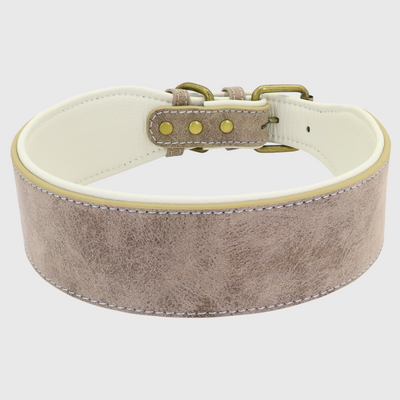 https://cdn.shopify.com/s/files/1/0763/9767/4819/files/Collier_en_cuir_pour_chien_personnalise_beige_clair.png?v=1745314060
