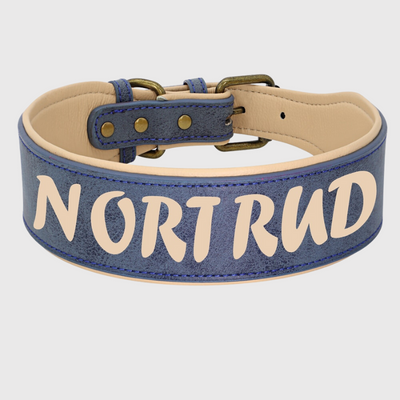 https://cdn.shopify.com/s/files/1/0763/9767/4819/files/Collier_en_cuir_pour_chien_personnalise_bleu.png?v=1745314060