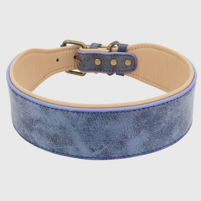 https://cdn.shopify.com/s/files/1/0763/9767/4819/files/Collier_en_cuir_pour_chien_personnalise_gris.png?v=1745314060