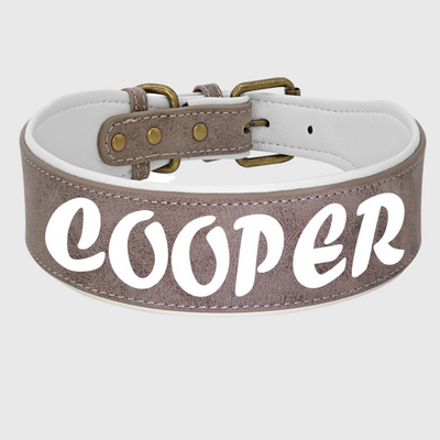 https://cdn.shopify.com/s/files/1/0763/9767/4819/files/Collier_en_cuir_pour_chien_personnalise_gris_fonce.png?v=1745314060