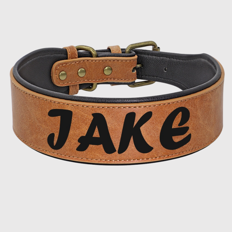 https://cdn.shopify.com/s/files/1/0763/9767/4819/files/Collier_en_cuir_pour_chien_personnalise_berger_australien.png?v=1745314087