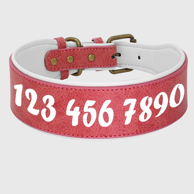 https://cdn.shopify.com/s/files/1/0763/9767/4819/files/Collier_en_cuir_pour_chien_personnalise_numero.png?v=1745314060