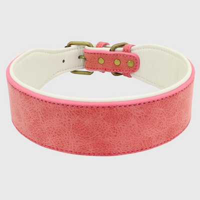 https://cdn.shopify.com/s/files/1/0763/9767/4819/files/Collier_en_cuir_pour_chien_personnalise_rouge.png?v=1745314060