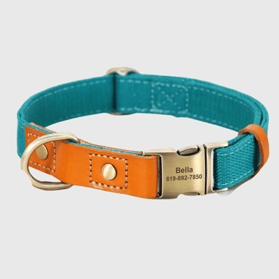 https://cdn.shopify.com/s/files/1/0763/9767/4819/files/Collier_et_laisse_pour_chien_personnalise_bleu.png?v=1769104765