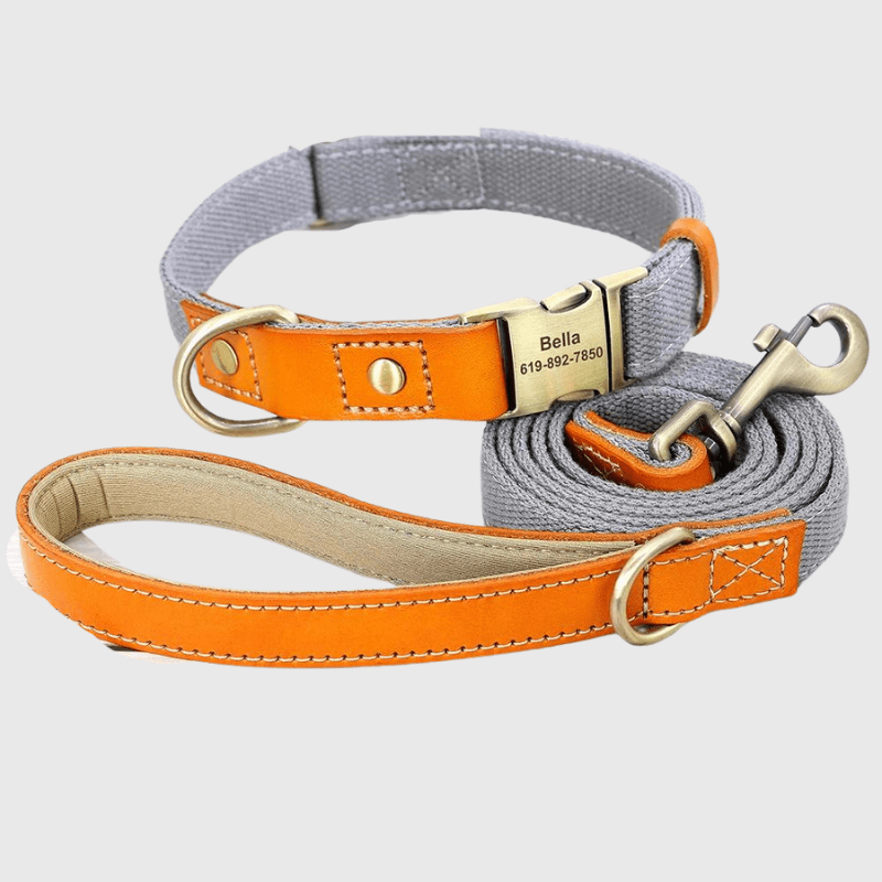 Set Collier Laisse Nylon Gros Chien Ajustable